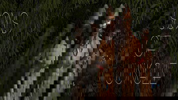 Sons of Jungle JOGO PORNO GAY - PORNO GAY (1)