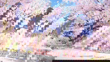 Mentor Life JOGO HENTAI - HENTAI GAME - SUPER HENTAI (1)