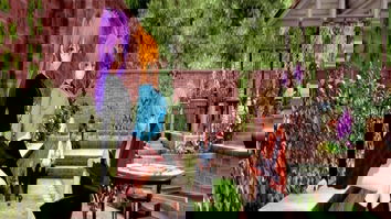 Patter JOGO HENTAI - HENTAI GAME - SUPER HENTAI (1)