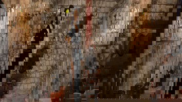 Story JOGO PORNO - PORN GAME - JOGO ADULTO - ADULT GAME (1)